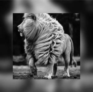 Meet your Posher, Santiago